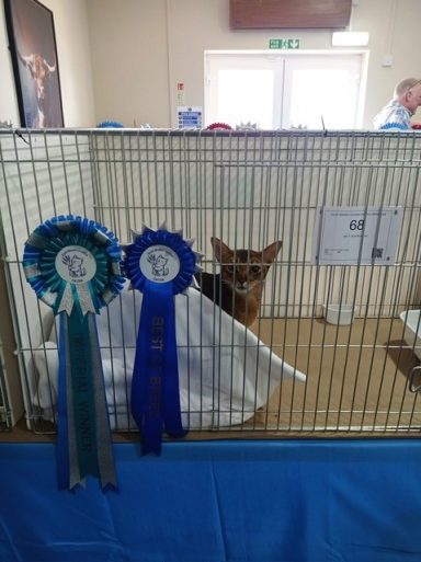 Charlie winning his first Imperial certificate- 26 Sep 26 Charlie winning his first Imperial certificate- 26 Sep 26