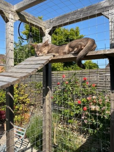 Minnie - 26 May 26