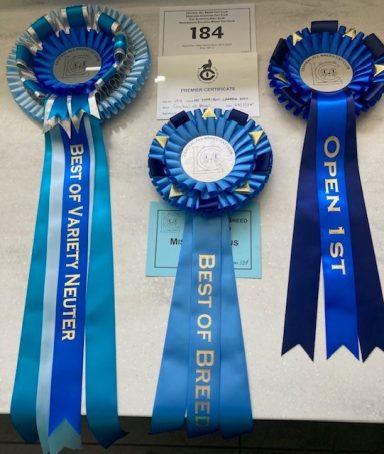Reggie’s awards - 23 May 26