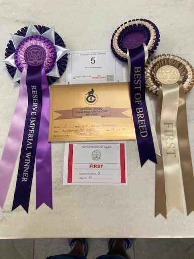 Fenny - ACC Show 2026 awards
