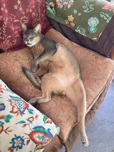 Reggie - 16 Jul 26