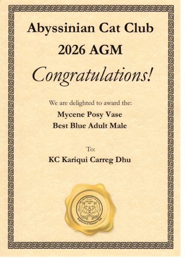 Best Blue Adult Male