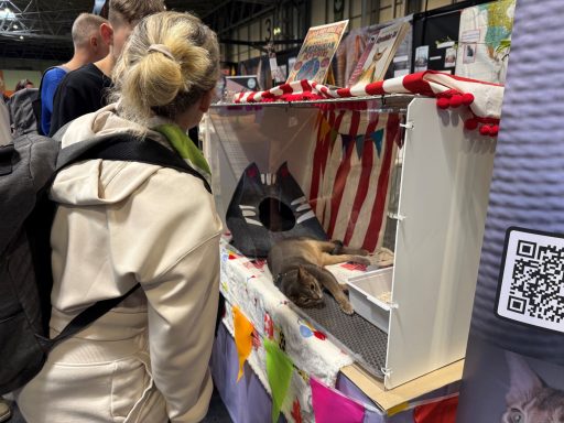 The Cat Show Live - 12 Sep 26 The Cat Show Live - 12 Sep 26