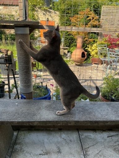 Reggie - 26 May 26