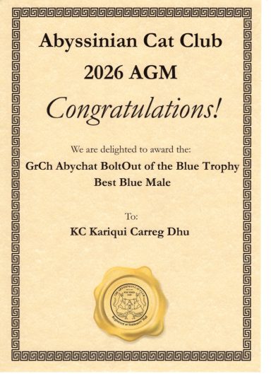 Best Blue Male