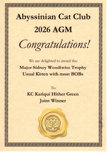 Usual Kitten BOBs Joint Winner