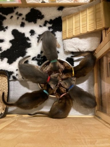 Supper time - 9 Sep 26 Supper time - 9 Sep 26