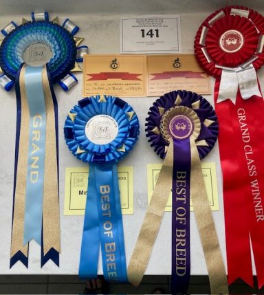 Fenny’s awards - 23 May 26