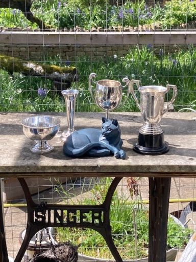 ACC AGM 26 Trophies