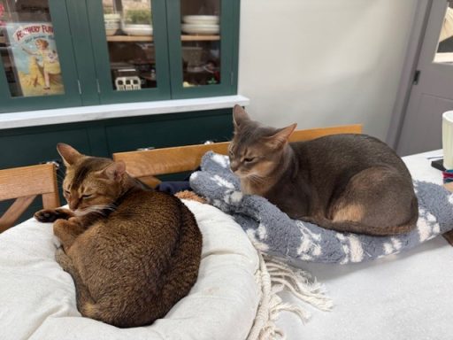 Ida & Reggie - 23 Oct 26