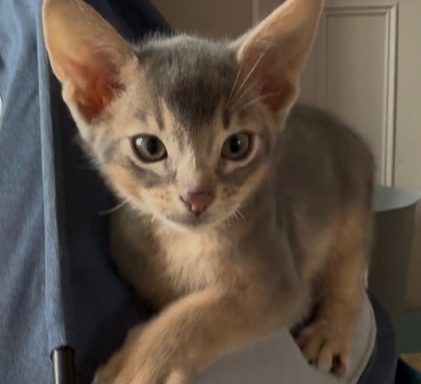 Owen - 3 Oct 26