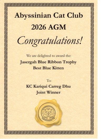 Best Blue Kitten - Joint Winner with Minnie