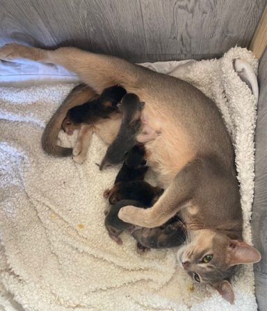 30 hours old - 25 Jul 26