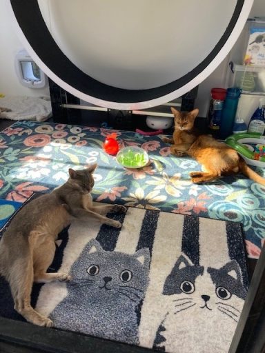Minnie visiting Huey - 21 May 26