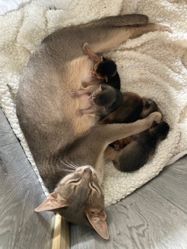 4 days old - 28 Jul 26