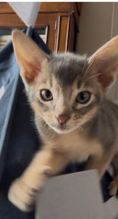 Owen - 3 Oct 26