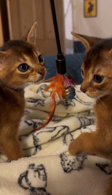 Penny & Annie - 28 Sep 26