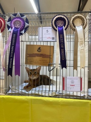 Fenny - ACC Show 2026