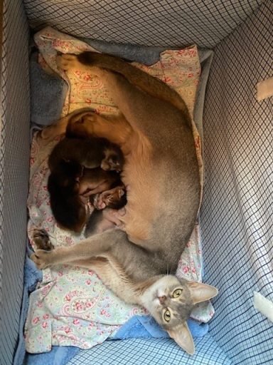 2 days old - 15 Aug 26