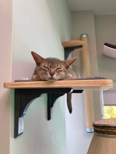 Minnie - 14 Jul 26