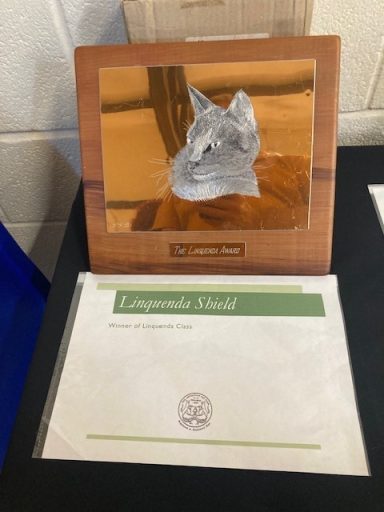 Reggie won the LINQUENDA Trophy - ACC Show 2025