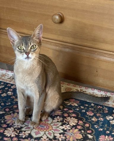 Rosie - 15 Jul 26